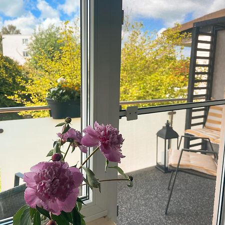 Appartment Paula 沃尔夫根 外观 照片